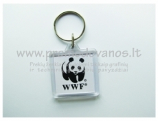 Transparent plastic keyrings