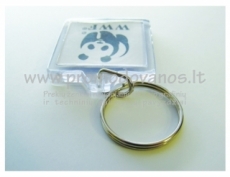 Transparent plastic keyrings