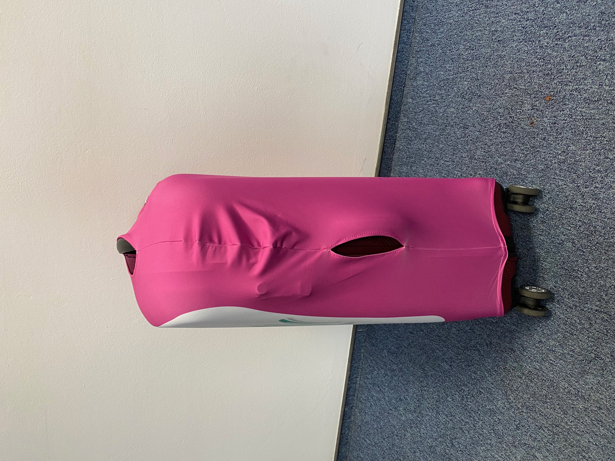 Luggage cover